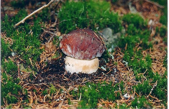 un p� di tempo f� !